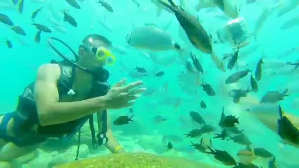 scuba diving antalya turkey