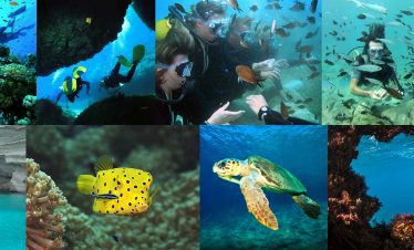 scuba diving antalya turkey