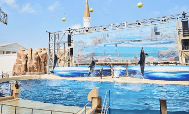 Land of legends Antalya Antalya Theme park Land of legends night show Dolphin show land of legends