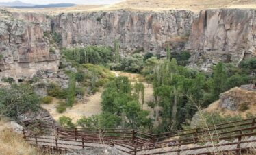 Scenic mountain steps surrounded by greenery in Cappadocia, showcasing the region’s natural beauty