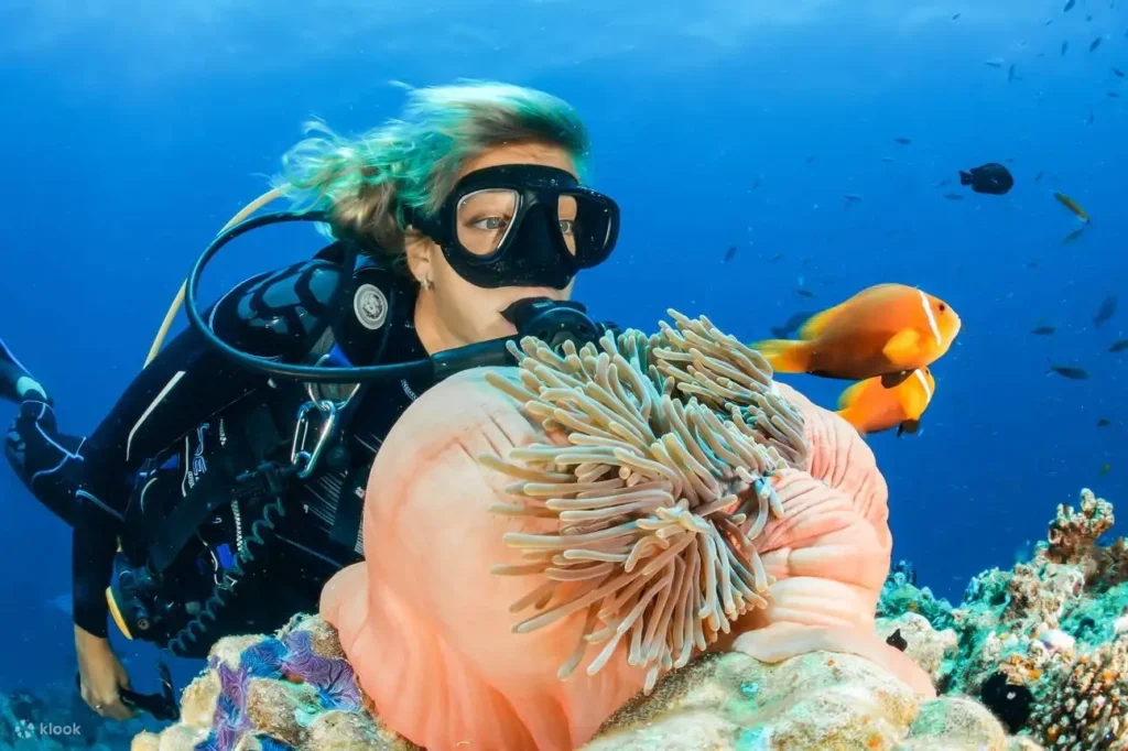 Tourists enjoying a guided scuba diving trip in Kemer with pick-up from Antalya