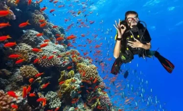 Scuba diver exploring the underwater world during a Kemer tour with BBQ lunch, departing from Belek