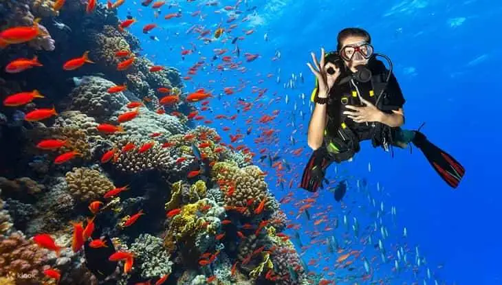 Scuba diver exploring the underwater world during a Kemer tour with BBQ lunch, departing from Belek