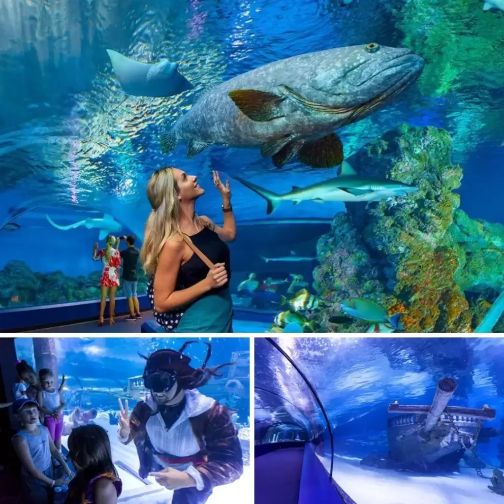Antalya Aquarium sharks and marine life
