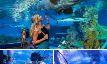 Antalya Aquarium sharks and marine life