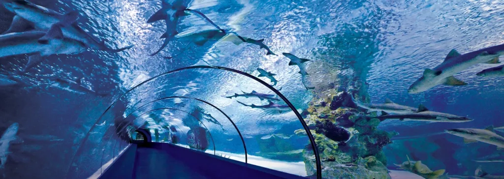 Private Aquarium & Wax Museum, Old Town, Boat Tour