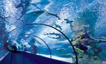 Private Aquarium & Wax Museum, Old Town, Boat Tour