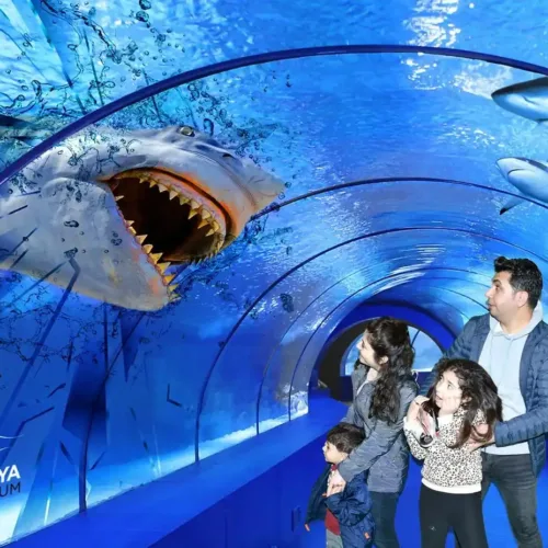 Antalya Aquarium and Wax Museum Tour — tickets and round-way hotel transfer included daily at 16:30